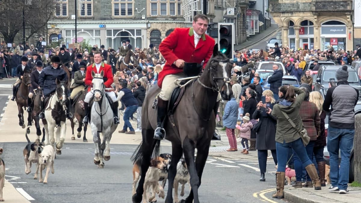 Devon hunt saboteurs welcome trail hunting ban plan but say law must go ...