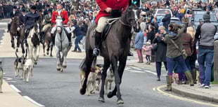 Law must go further, say Devon hunt sabs