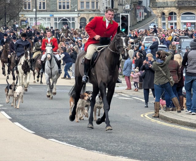 Law must go further, say Devon hunt sabs