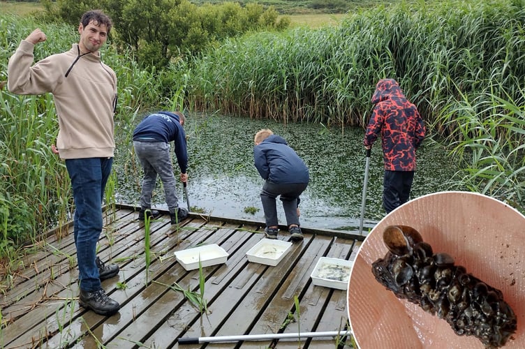 Pond dipping at Soar. Intricate caddis case of shells