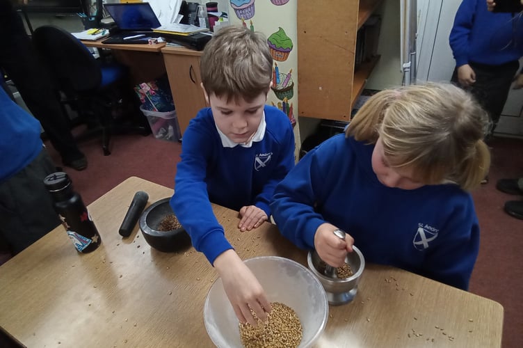 Buckland Monachorum St Andrew's School pupils enjoy a Farmwise Devon workshop - learning about grains.