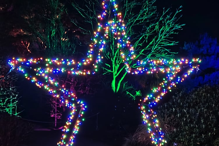 Famous RHS Rosemoor garden light show entrances