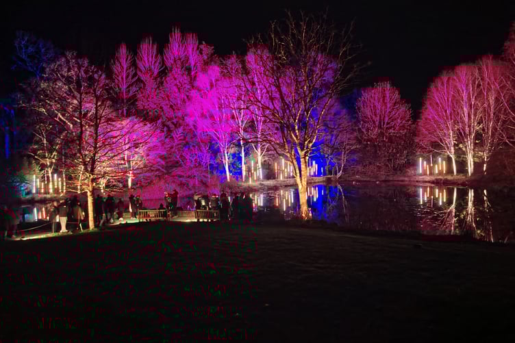 Famous RHS Rosemoor garden light show entrances