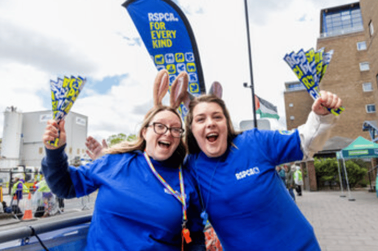 The RSPCA has announced that fundraising challenges are now open for applications.