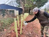 Hatherleigh residents boost wildlife in churchyard