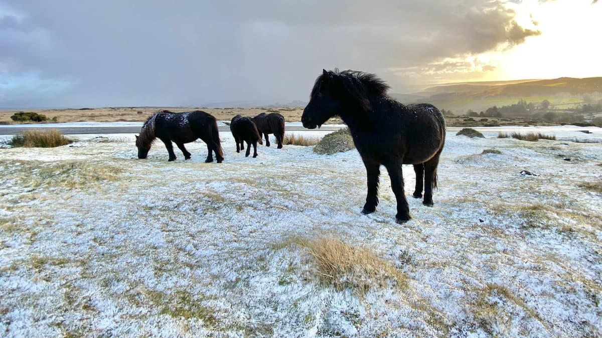 West Devon von Eis und starkem Frost betroffen, Temperaturen sinken