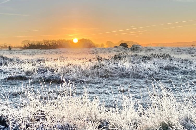 Sunset on Dartmoor with heavy frost near Postbridge. mPicture by Mark Shackleton.
