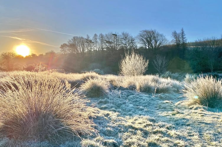 Sunrise on heavy frost near Postbridge. Picture by Mark Shackleton.
