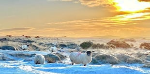 Overnight snow showers and ice to hit West Devon