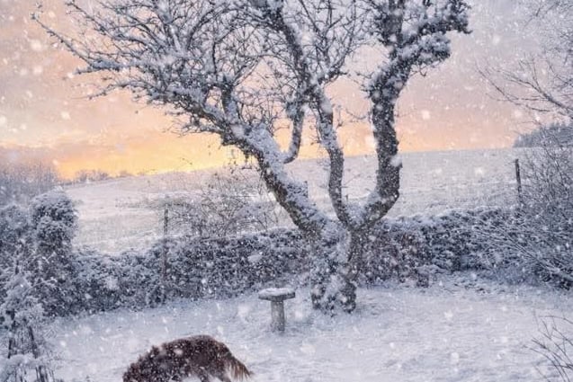 Snow flurries in the Postbridge area, with black ice, due to cause treacherous road conditions. Picture by Stephen Earp.