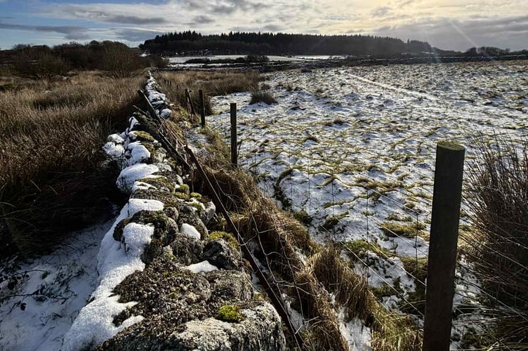 Snow in the Postbridge area, along with freezing temperatures forecast to cause hazardous road conditions. Picture by Stephen Earp.