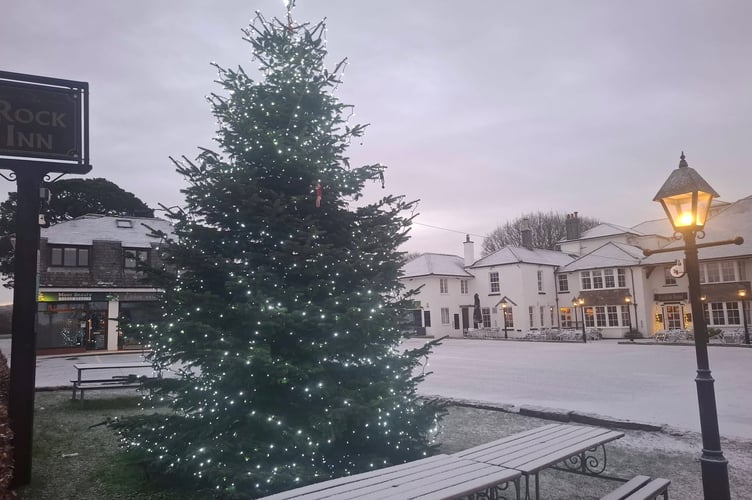Snow at Yelverton. Picture by Bob's Christmas Trees.