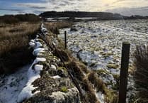 Black ice and frozen snow cause traffic delays in West Devon