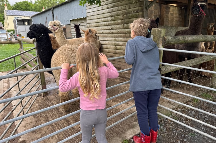 EPIC Fostering is part of The EPIC Family CIC, a not-for-profit social enterprise.