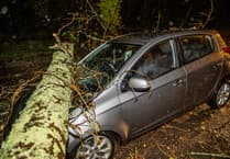 Transition Tavistock: Can we talk about this?