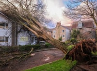 Storm Goretti sweeps through Devon