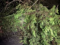 Devon preparing for icy conditions following Storm Goretti

