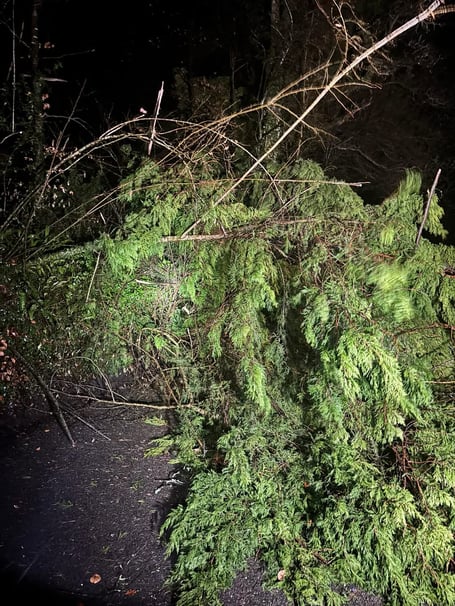 A tree is down on the B3362 between Launceston and Tavistock is completely blocked by a fallen tree at Old Greystone Bridge on the Cornish side.