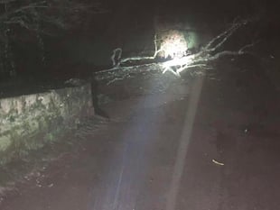 LIVE: Storm Goretti causes chaos on Devon's roads