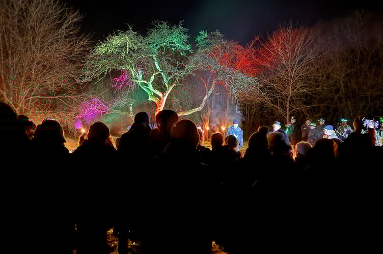 Watching the Mummers play at Sandford Wassail.  AQ 2250
