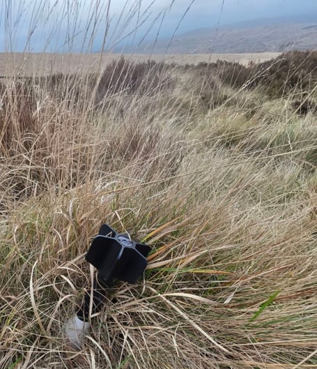 Mortar bomb unexploded on Willsworthy Common, found by a walker over the Christmas period.