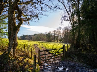Residents invited to have say on plans for new woodland
