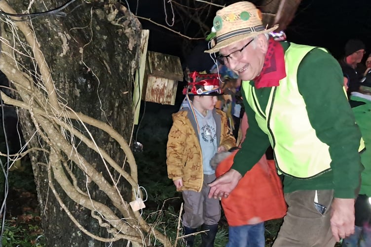 The Tavy & Tamar Apple Group leads the Bere Ferrers Wassail - the apple orchard blessing celebrations.  Pictured is traditional tree dressing.
