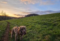 West Devon police welcome new animal protection against dog attacks