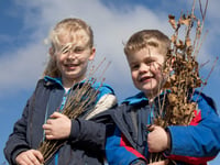 Schools invited to apply for free trees 