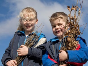 Schools invited to apply for free trees 