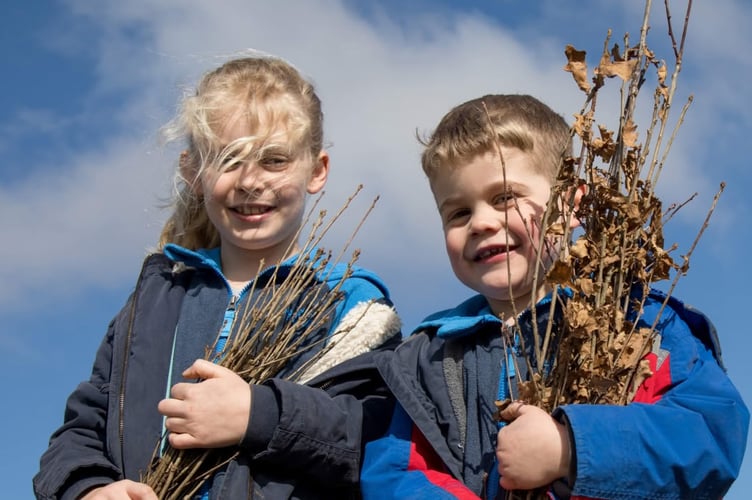 Free trees and hedgerows plants offered to schools by the Woodland Trust.