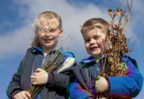 Applications open for free trees for West Devon schools