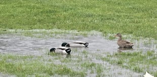 Wet weather derails another weekend of football