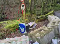 Call for vital bridge 'Lego' blocks removal 