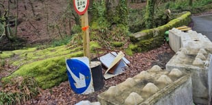 Call for vital bridge 'Lego' blocks removal 
