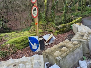 Call for vital bridge 'Lego' blocks removal 
