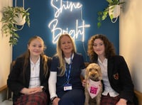 School therapy dog helps launch new wellbeing centre