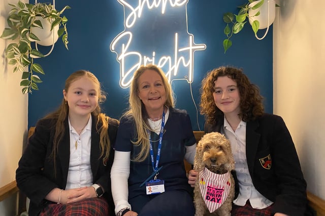 School therapy dog helps launch new wellbeing centre