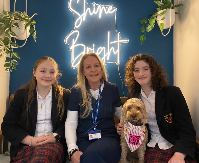School therapy dog helps launch new wellbeing centre