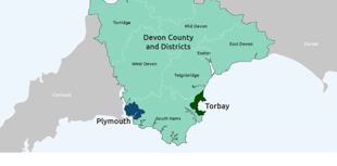 Have your say on radical council changes