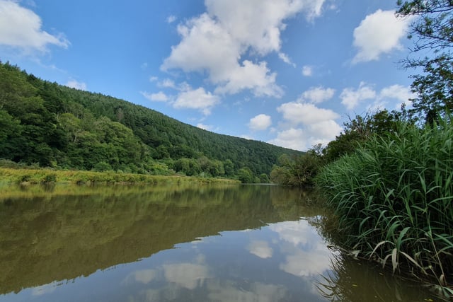 Drip Drip Tamar calls on locals to join next phase  