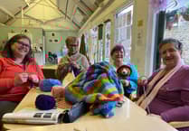 Woolly Wednesdays in Tavistock