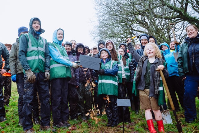 Tree-mendous landmark for arboreal charity