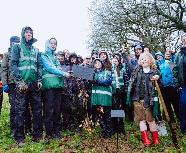 Tree-mendous landmark for arboreal charity