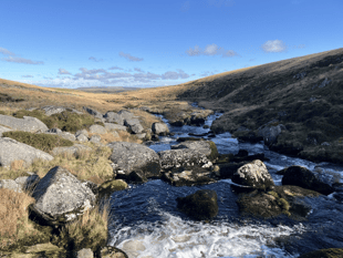 'Sherlock Holmes' bog conservation plan