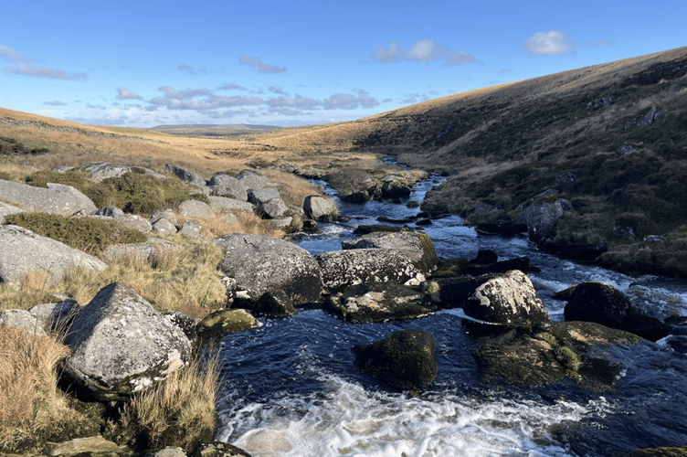 Swincombe Valley, south Dartmoor is a rich wetland habitat. Picture by Albert Knott.