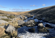 'Sherlock Holmes' Dartmoor bog conservation plan launch
