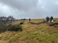 Hundreds of trees planted to expand temperate rainforest on Dartmoor