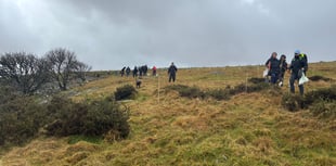 Hundreds of trees planted to expand temperate rainforest on Dartmoor