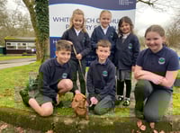 School wellbeing dog Rufus makes friends 